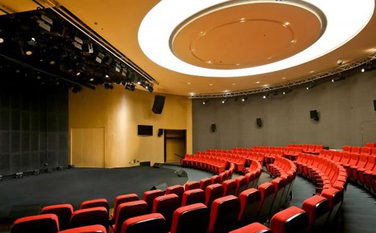 浙江麗水文化藝術中心木質(zhì)吸音板聲學工程